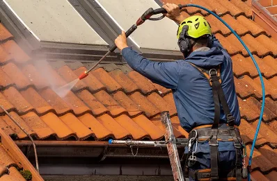 Démoussage et hydrofuge de toiture à Gohory